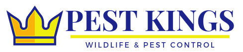 Pest Kings Wildlife And Pest Control