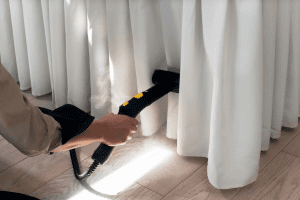 bed bug steaming heat treatment