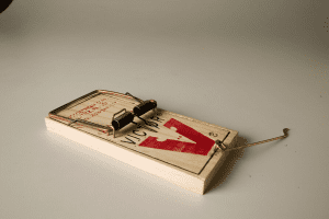Snap Mouse Trap